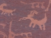 petroglyphen-im-valley-of-fire-3