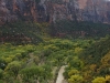 zion-np-15