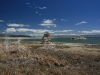 Mono Lake